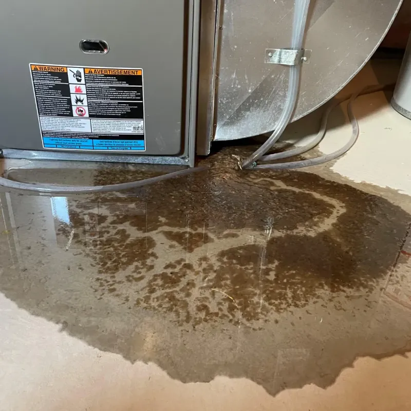 Appliance Leak Cleanup in Tanque Verde, AZ