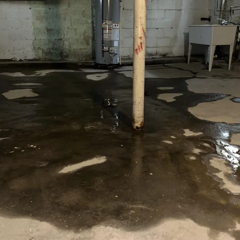 Emergency Water Extraction And Removal in Tanque Verde, AZ